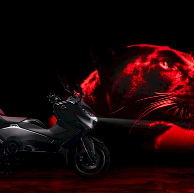 TMAX 25th Anniversary